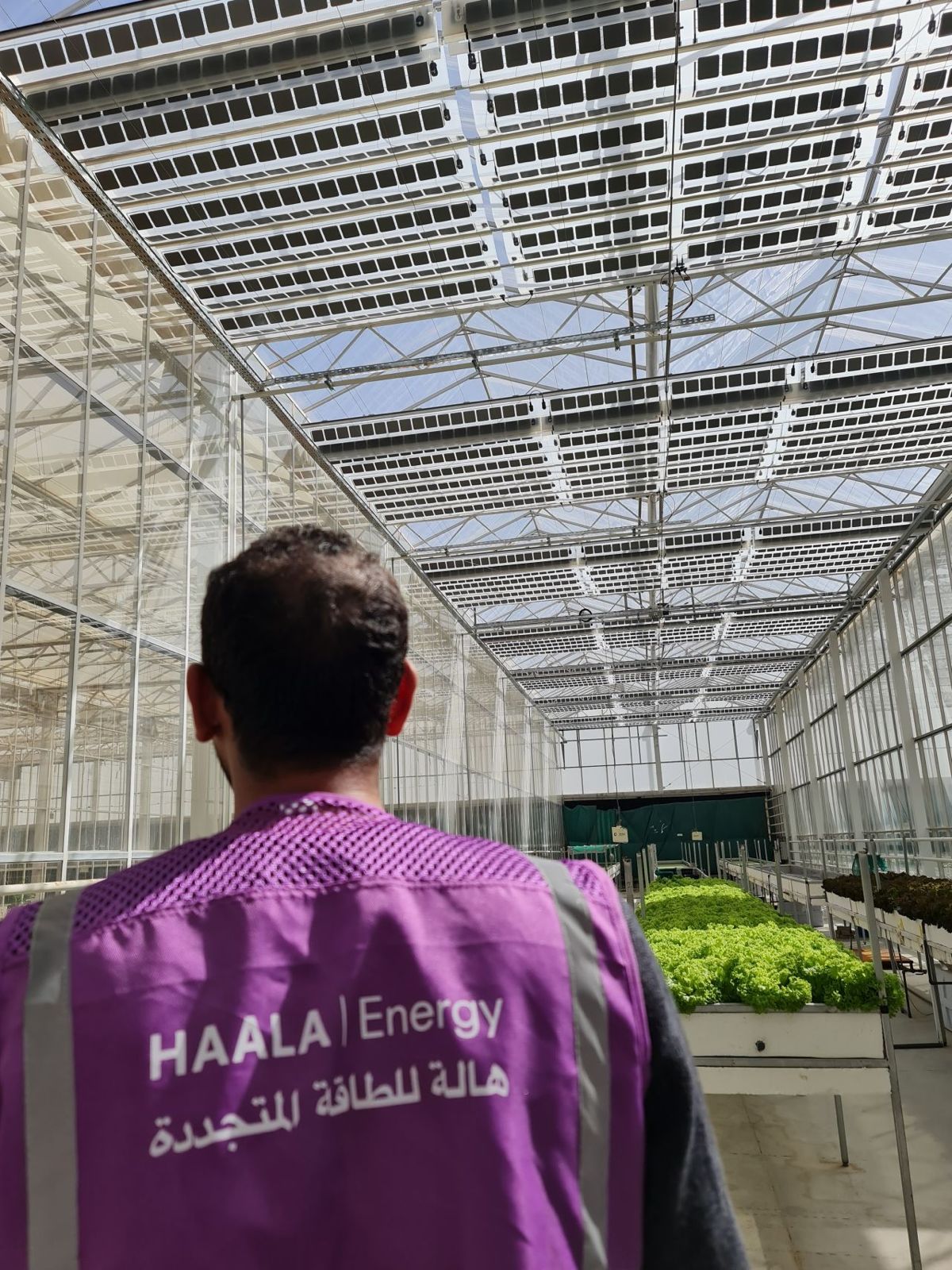 HAALA partner Mirai Solar receives recognition for retractable greenhouse solutions